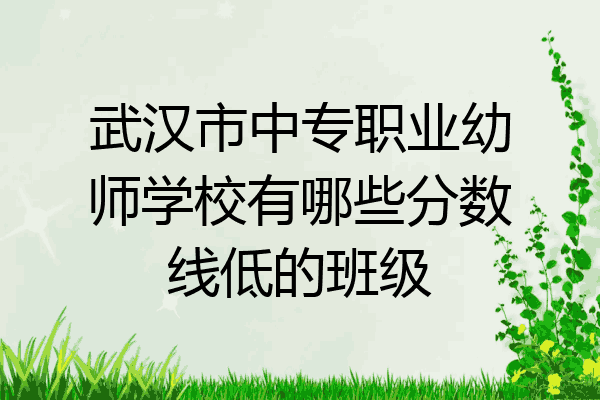武汉市中专职业幼师学校有哪些分数线低的班级