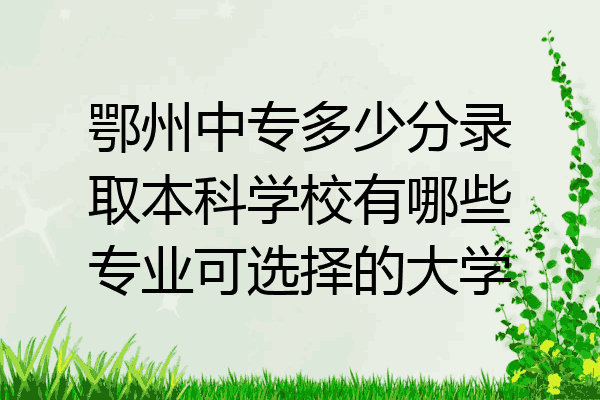 鄂州中专多少分录取本科学校有哪些专业可选择的大学