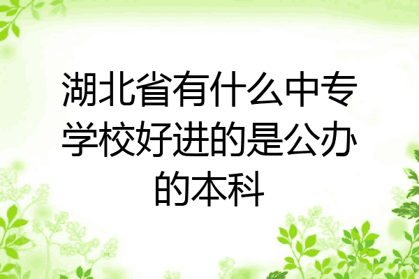 湖北省有什么中专学校好进的是公办的本科