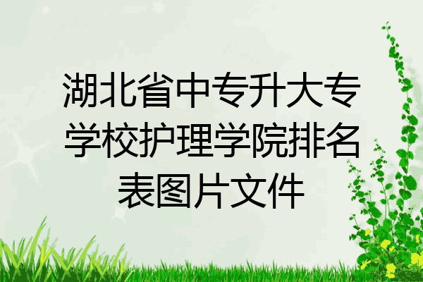 湖北省中专升大专学校护理学院排名表图片文件