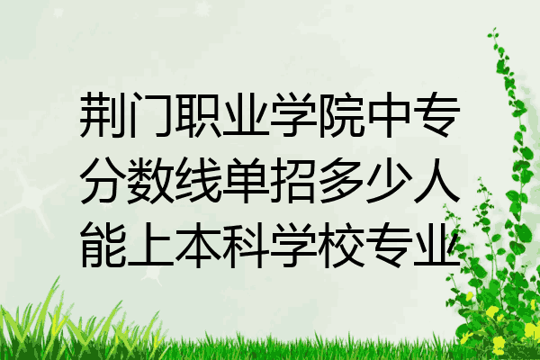 荆门职业学院中专分数线单招多少人能上本科学校专业