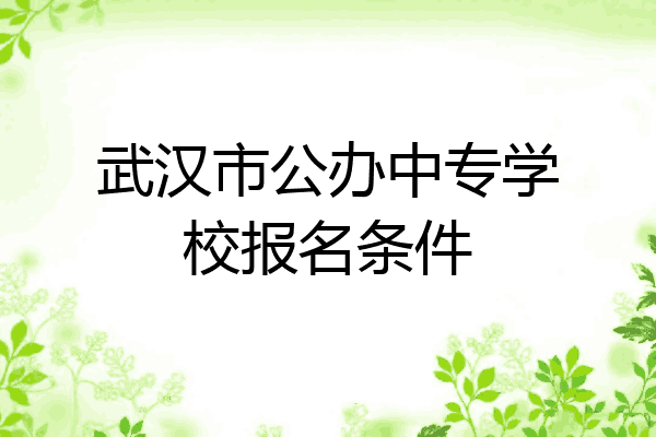 武汉市公办中专学校报名条件