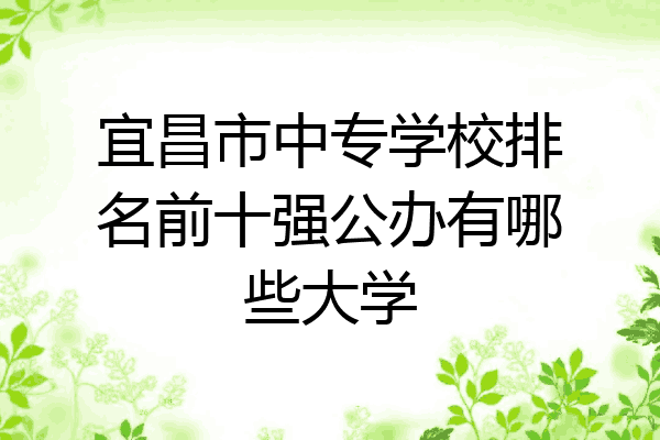 宜昌市中专学校排名前十强公办有哪些大学