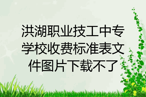 洪湖职业技工中专学校收费标准表文件图片下载不了