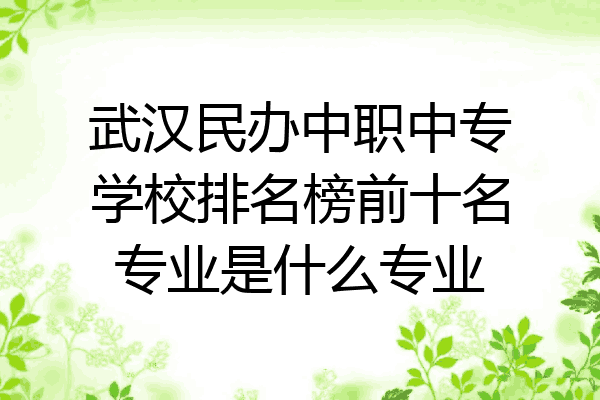 武汉民办中职中专学校排名榜前十名专业是什么专业
