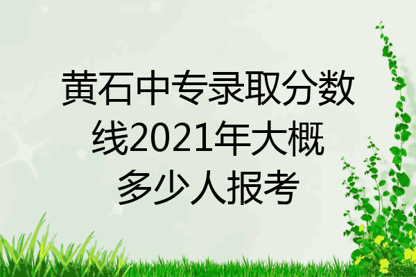 黄石中专录取分数线2021年大概多少人报考