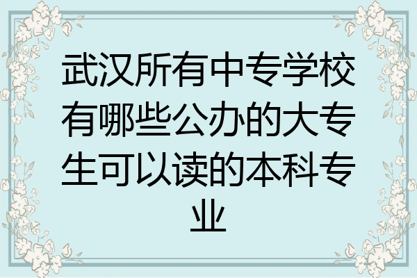 武汉所有中专学校有哪些公办的大专生可以读的本科专业