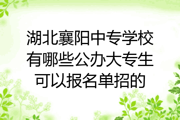 湖北襄阳中专学校有哪些公办大专生可以报名单招的