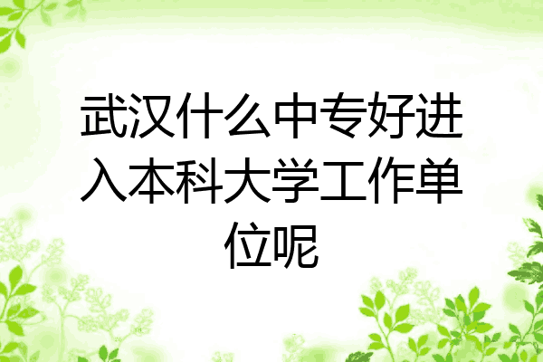 武汉什么中专好进入本科大学工作单位呢