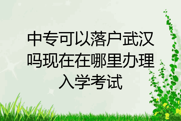 中专可以落户武汉吗现在在哪里办理入学考试
