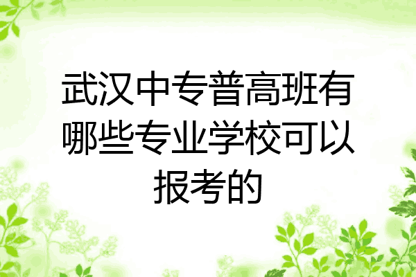 武汉中专普高班有哪些专业学校可以报考的