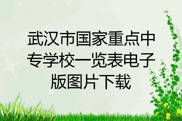 武汉市国家重点中专学校一览表电子版图片下载