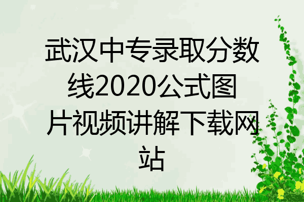 武汉中专录取分数线2020公式图片视频讲解下载网站