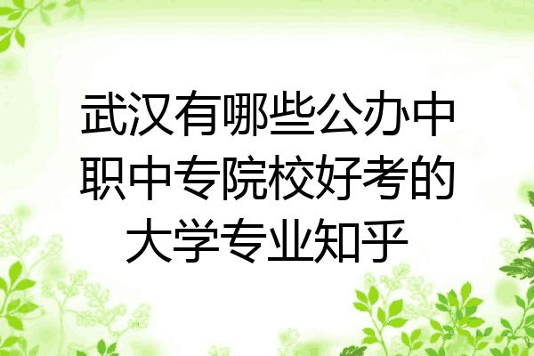 武汉有哪些公办中职中专院校好考的大学专业知乎