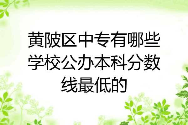 黄陂区中专有哪些学校公办本科分数线最低的