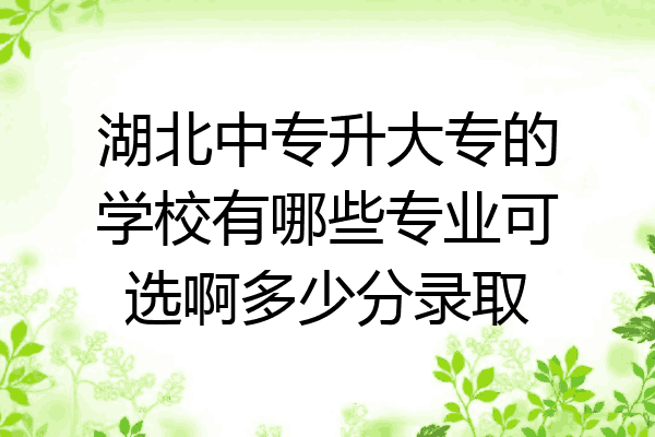 湖北中专升大专的学校有哪些专业可选啊多少分录取