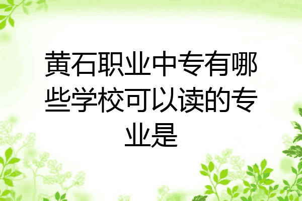 黄石职业中专有哪些学校可以读的专业是