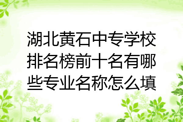 湖北黄石中专学校排名榜前十名有哪些专业名称怎么填