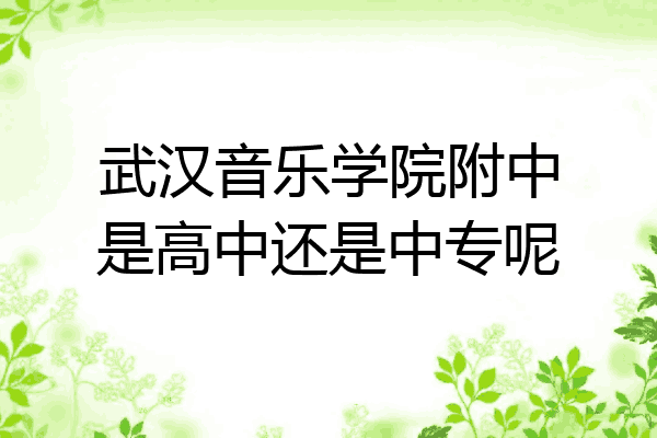 武汉音乐学院附中是高中还是中专呢