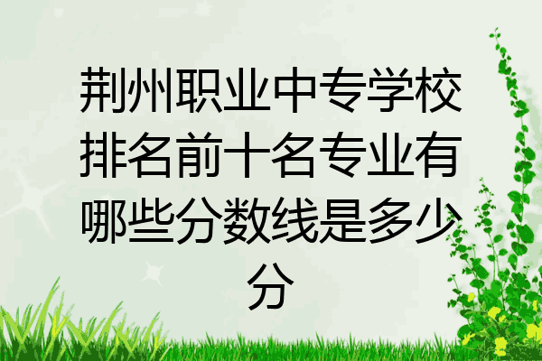 荆州职业中专学校排名前十名专业有哪些分数线是多少分