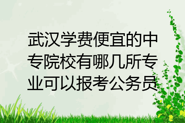 武汉学费便宜的中专院校有哪几所专业可以报考公务员