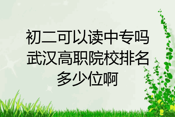 初二可以读中专吗武汉高职院校排名多少位啊
