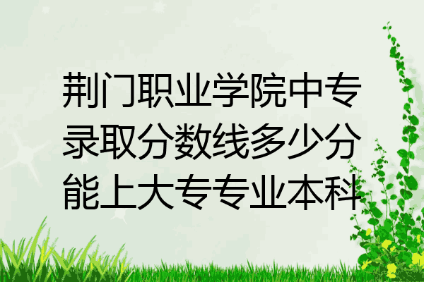 荆门职业学院中专录取分数线多少分能上大专专业本科