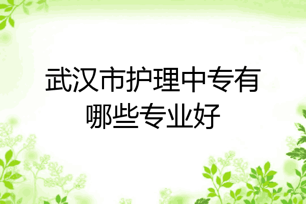 武汉市护理中专有哪些专业好