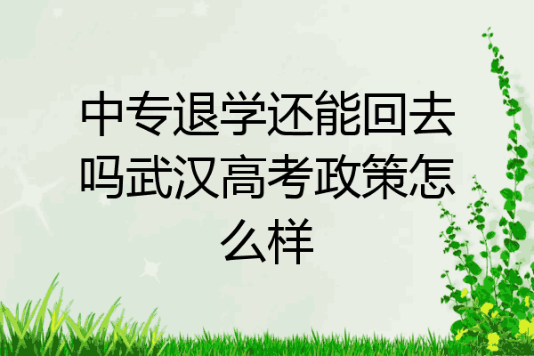 中专退学还能回去吗武汉高考政策怎么样