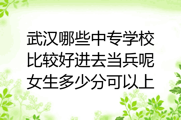 武汉哪些中专学校比较好进去当兵呢女生多少分可以上