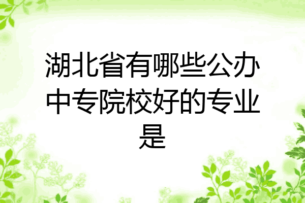 湖北省有哪些公办中专院校好的专业是