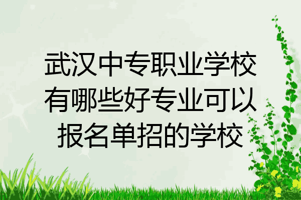 武汉中专职业学校有哪些好专业可以报名单招的学校