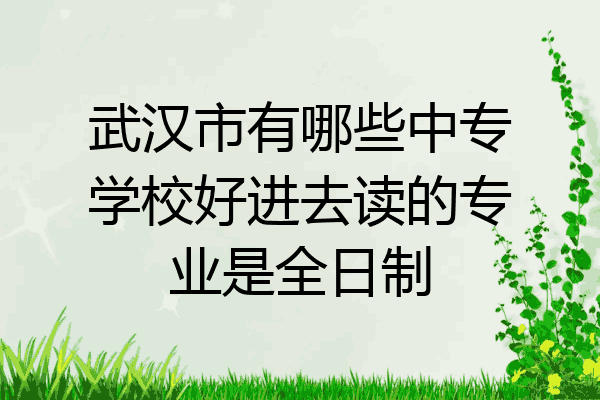 武汉市有哪些中专学校好进去读的专业是全日制
