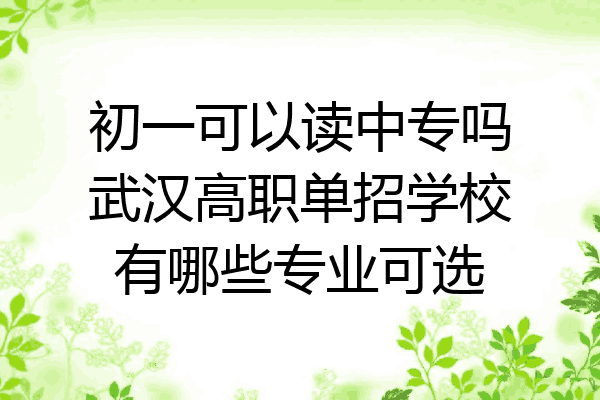 初一可以读中专吗武汉高职单招学校有哪些专业可选