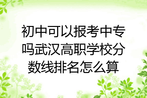 初中可以报考中专吗武汉高职学校分数线排名怎么算