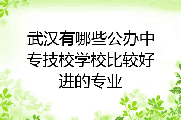 武汉有哪些公办中专技校学校比较好进的专业