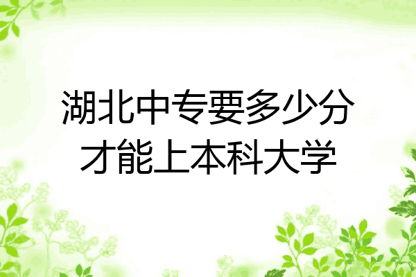 湖北中专要多少分才能上本科大学