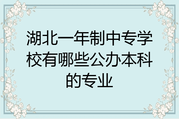 湖北一年制中专学校有哪些公办本科的专业