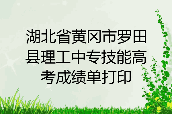 湖北省黄冈市罗田县理工中专技能高考成绩单打印