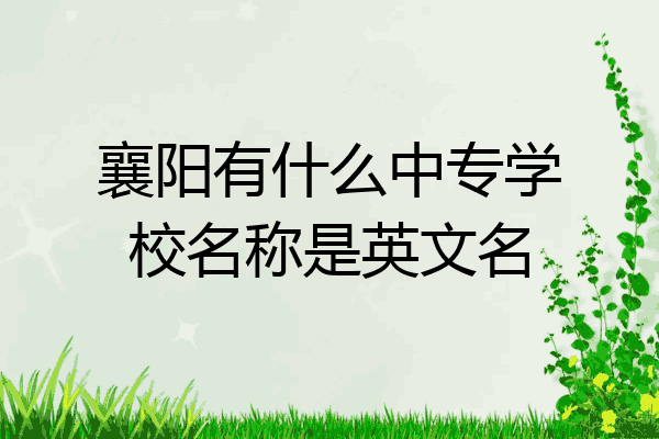 襄阳有什么中专学校名称是英文名
