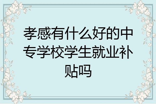 孝感有什么好的中专学校学生就业补贴吗