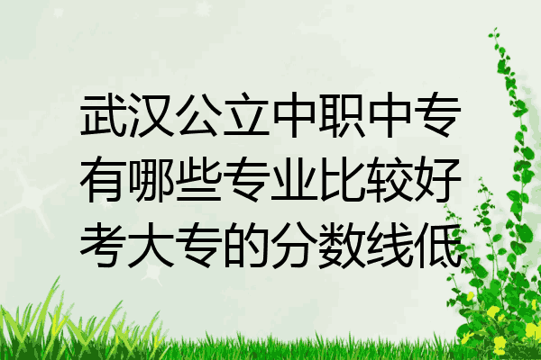 武汉公立中职中专有哪些专业比较好考大专的分数线低