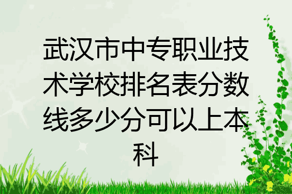 武汉市中专职业技术学校排名表分数线多少分可以上本科