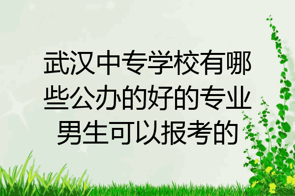 武汉中专学校有哪些公办的好的专业男生可以报考的
