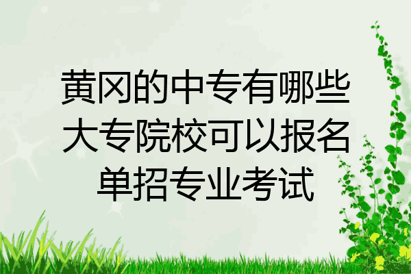 黄冈的中专有哪些大专院校可以报名单招专业考试