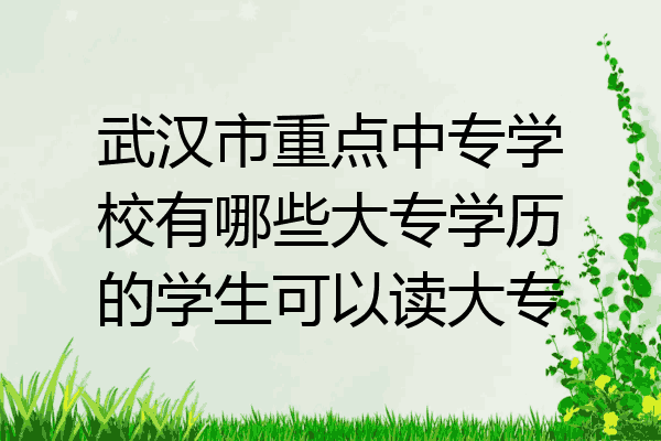 武汉市重点中专学校有哪些大专学历的学生可以读大专