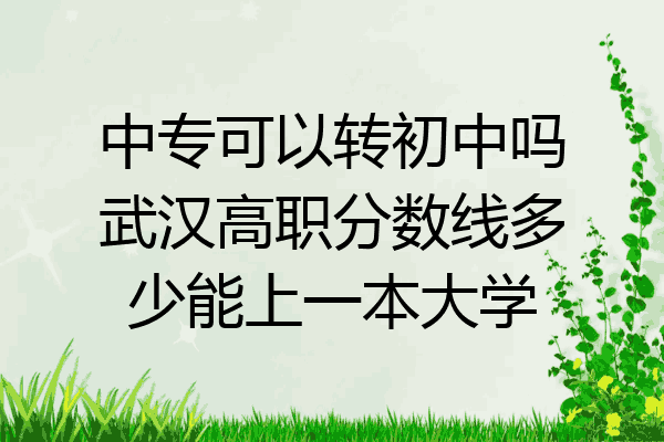 中专可以转初中吗武汉高职分数线多少能上一本大学