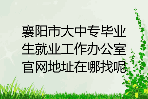 襄阳市大中专毕业生就业工作办公室官网地址在哪找呢