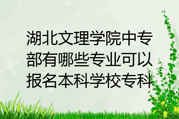 湖北文理学院中专部有哪些专业可以报名本科学校专科