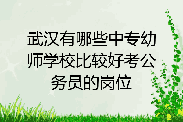 武汉有哪些中专幼师学校比较好考公务员的岗位